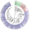 MLTreeMap