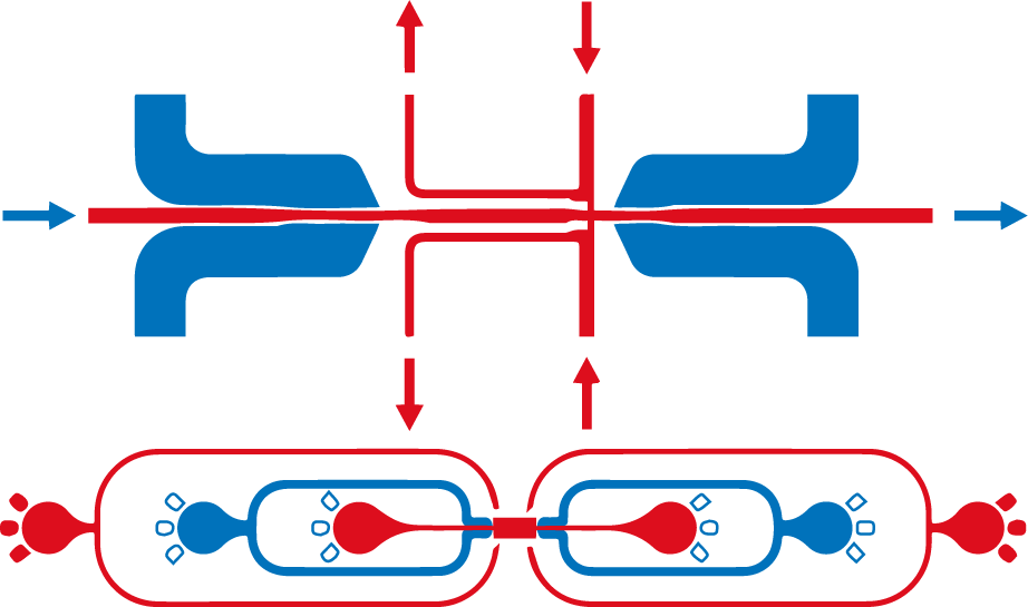 Development of Microfluidics-base screening strategies