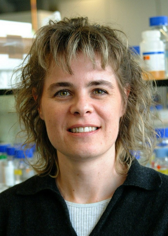 Dr. Monika Hediger Niessen