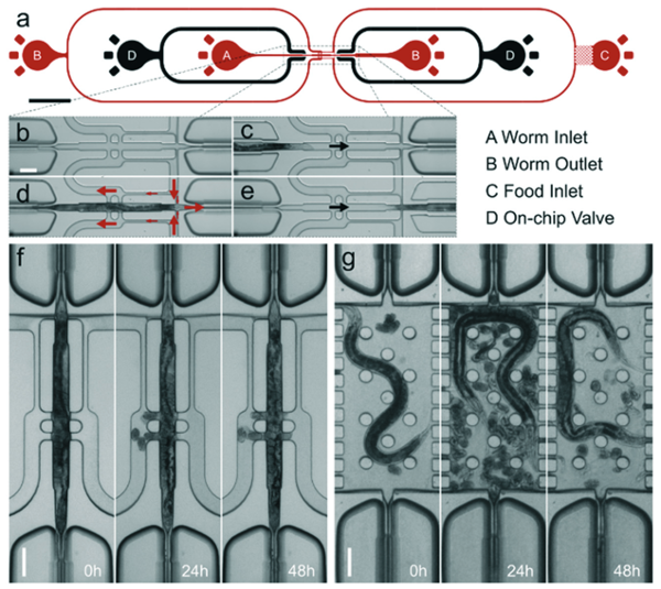 microfluids