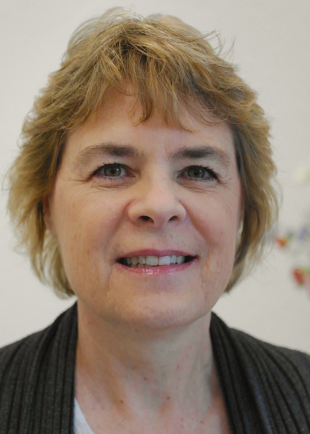 Monika Hediger Niessen